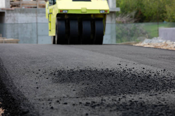 Best Professional Driveway Pavers  in Eagle Butte, SD