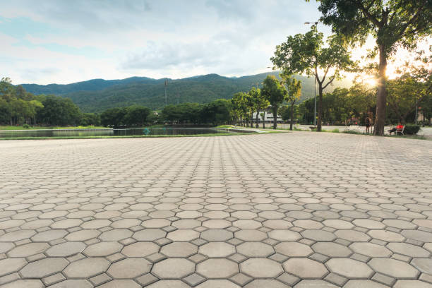 Best Paver Driveway Replacement  in Eagle Butte, SD