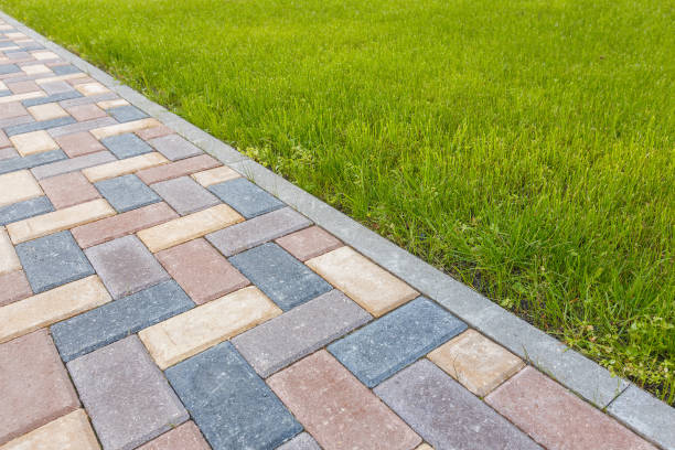 Best Driveway Paving Contractor  in Eagle Butte, SD